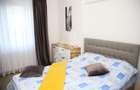 Apartament cu 2 camere semidecomandat în Ultracentral - 6
