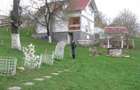 Casa de vacanta BREAZA de SUS, judetul Prahova, 4000mp la liziera padurii - 6