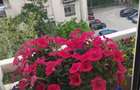 Apartament cu 3 camere decomandat în Unirii - 7