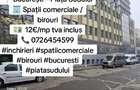 Spa?ii comerciale de inchiriat - 1