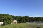 Teren Intravilan Branesti-Ilfov, la marginea padurii, aproape de lac - 1