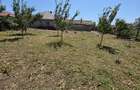 Casă individuală cu 3 camere cu Teren 1226 Mp în 23 August - 6