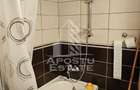 Apartament 2 camere, renovat - zona Intim-Banu Maracine - 8