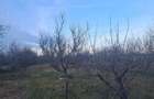 vand casa 3 camere snagov 70 metri teren 325 la 129000 euro - 5