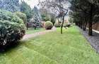 A 1607 De vanzare casa singur in curte in Tg Mure? - 7 Noiembrie - 7