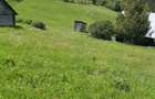 Teren 7 Hectare Brodina Suceava Par?ial Intravilan, Casa + Anexe, Zona de Munte | Ocazie - 7