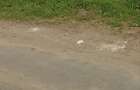 Teren intravilan de 760 mp, în Sălaj - 2