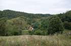 Teren de 13811 mp, în Certeju de Jos - 29