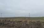 Teren agricol de vanzare, 60000 mp , Limanu- Constanta - 3