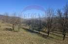 Teren 4,627mp Giulesti / Strada PRINCIPALA - 8