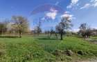 Teren Construcții intravilan de 1600 mp, în Cărbunari - 7