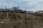 Teren constructii langa oras, Letea-Veche - 10