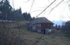 Casa de vanzare muntii apuseni - 6