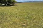 Teren extravilan 54.500 mp, langa padure, intre Lovnic Valeni - 4