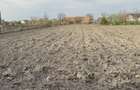 Teren intravilan com checea jud timis - 1
