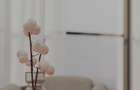 Apartament cu 2 camere decomandat în Torontalului - 14
