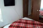 Apartament 2 camere de inchiriat Sinaia - 5