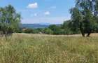 Teren intravilan de vanzare - 5
