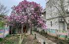Casă individuală cu 3 camere cu Teren 430 Mp în Iancului - 3
