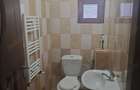 Casa Jiblea Veche - Calimanesti - 8