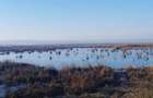 Vand teren intravilan 4000MP cu dechidere la Delta Neajlovu - 4