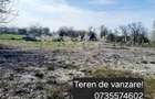 Teren Intravilan 1020 mp Becicherecu Mic - 2