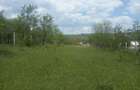 Teren intravilan 1700 mp - Drajna de Jos, Poiana Mierlei 15/mp, neg - 6