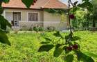 Vanzare casa Adancata, IL, gata de locuit - 9