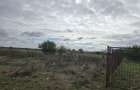 Comuna Amzacea- sat G.Scarisoreanu -Ferma zootehnica , teren 5,1ha - 8
