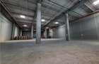 Spatii Industriale - 8000 mp - Logistica - Productie - Depozitare - 6