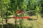 Casă în Poiana - 4