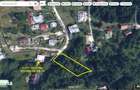 SINAIA, VAND 492 MP IN CARTIERUL TIRUL CU PORUMBEI, PROPRIETAR - 1