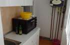 Apartament cu 2 camere semidecomandat în Iosefin - 8
