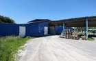Spațiu industrial, de 1,532 mp, în Cărpiniș - 21