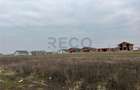 RECO Teren intravilan mixt -loc de casa sau servicii 500 mp - 4
