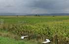 Vand schimb inchiriez teren intravilan DN 13 Calea Feldioarei - 4