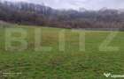 Teren superb 2.500 mp in Nicula lini?te, natura ?i p - 3
