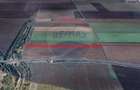 Teren agricol extravilan de 35000 mp, în Hărman - 4