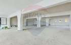 Spatiu comercial 385 mp, zona Tudor Vladimirescu - 6