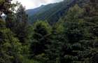 Proprietate rara in inima Retezatului 5.700 mp teren intravilan - 9