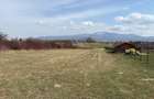 Teren Vulcan - zona cabane - 1