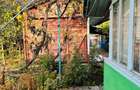Casa Batraneasca (Com. Grindu Jud. Ialomita ) - 4