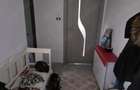 Apartament cu 2 camere semidecomandat în Iosefin - 1