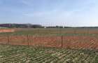 Teren intravilan Ordoreanu -Clinceni - 5