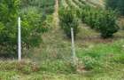 Vand teren situat in Balcesti in suprafata de 4000 mp. Tel Claudia - 1