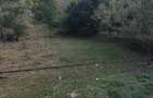 Vand teren com Ramet, jud Alba - 6
