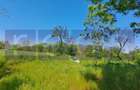 Casa Taraneasca | Teren 3000 Mp | Deschidere 52 M | Comuna Ciolanesti - 5