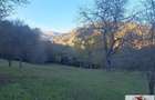Casa cu 17399 mp teren in Valea Vintului - 6