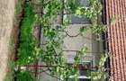 Casă cu 3 camere cu Teren 2200 Mp în Potău