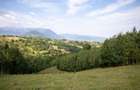Comision0% Investitie turistica unica - Bran Sohodol 10131mp-Via Transilvanica - 3